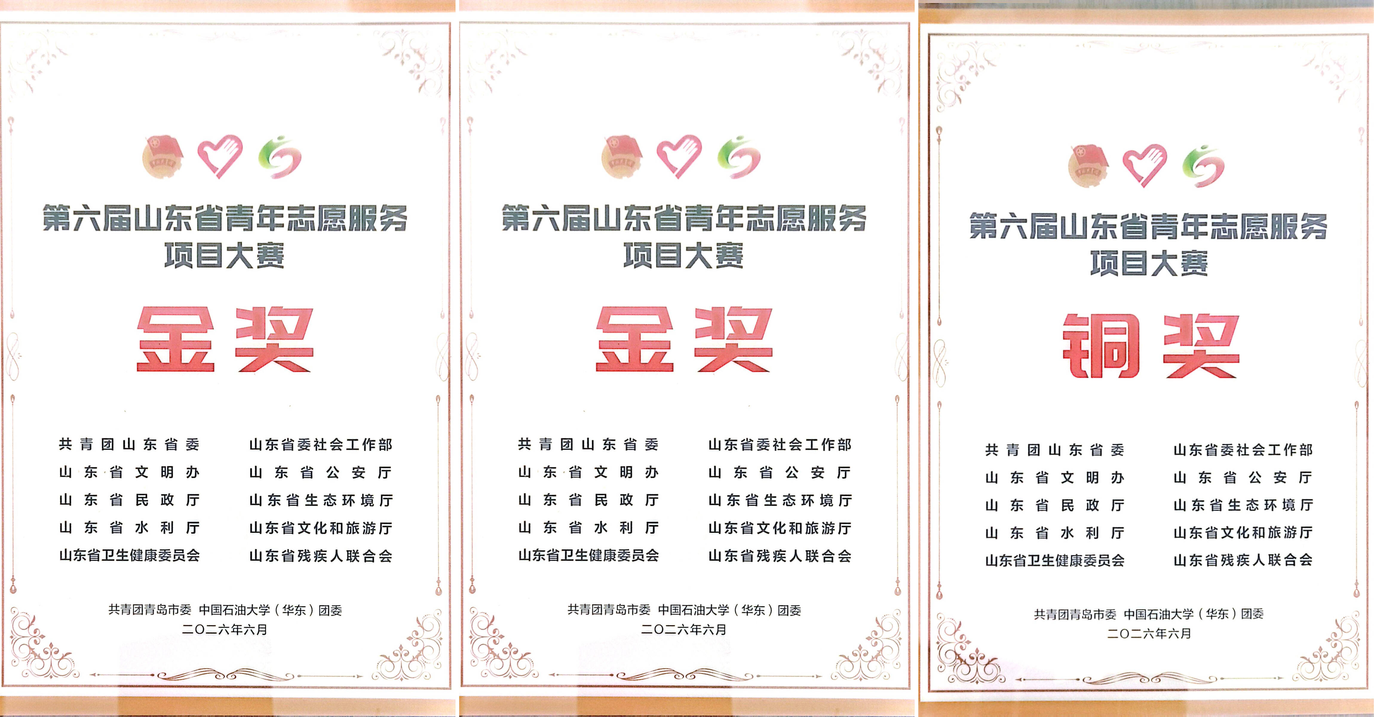 山东医药大学在第六届山东省青年志愿服务项目大赛中创佳绩