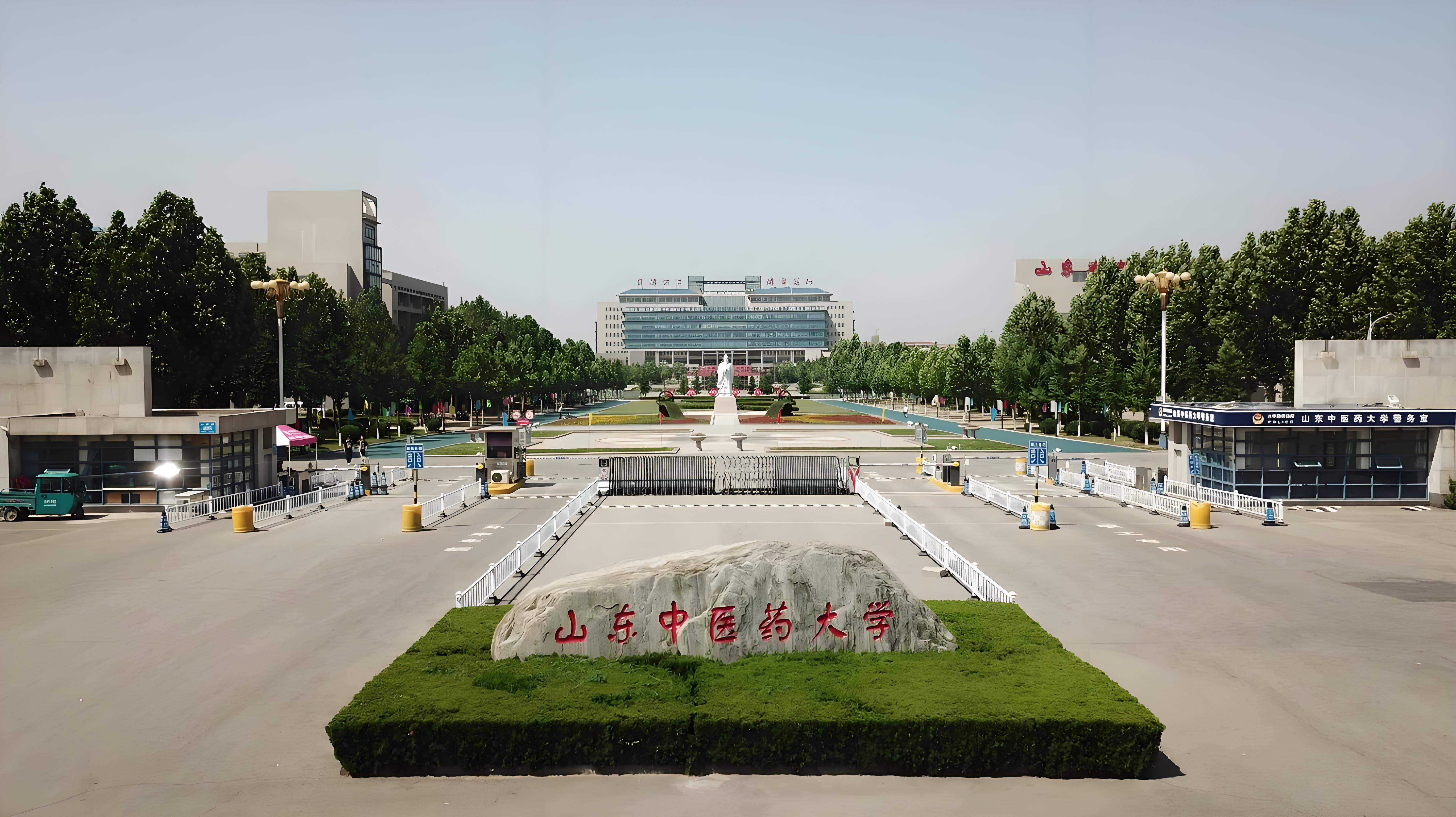 省内首创！山东中医药大学推出3+5贯通模式 优秀初中生可直读中医本科