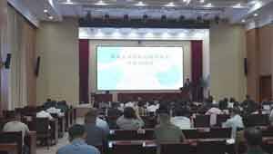 专业服务赋能 淄企“借港出海”提速