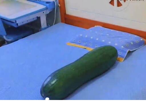 夏天抱冬瓜睡觉强势回归
