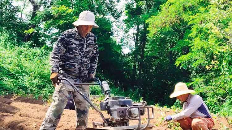 鲁油鲁炼项目首台重型设备一次吊装成功