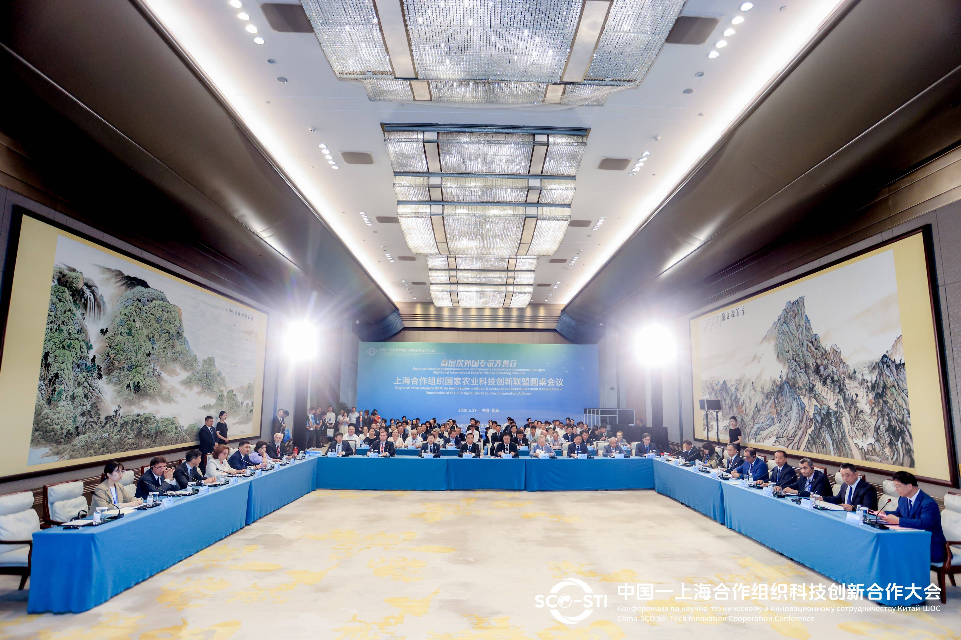 青岛机场2026年上半年国际及地区旅客量跻身全国前十