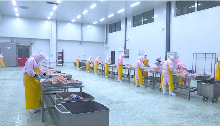 潍坊市坊子区：精准服务纾困解难 扩大企业海外“朋友圈”