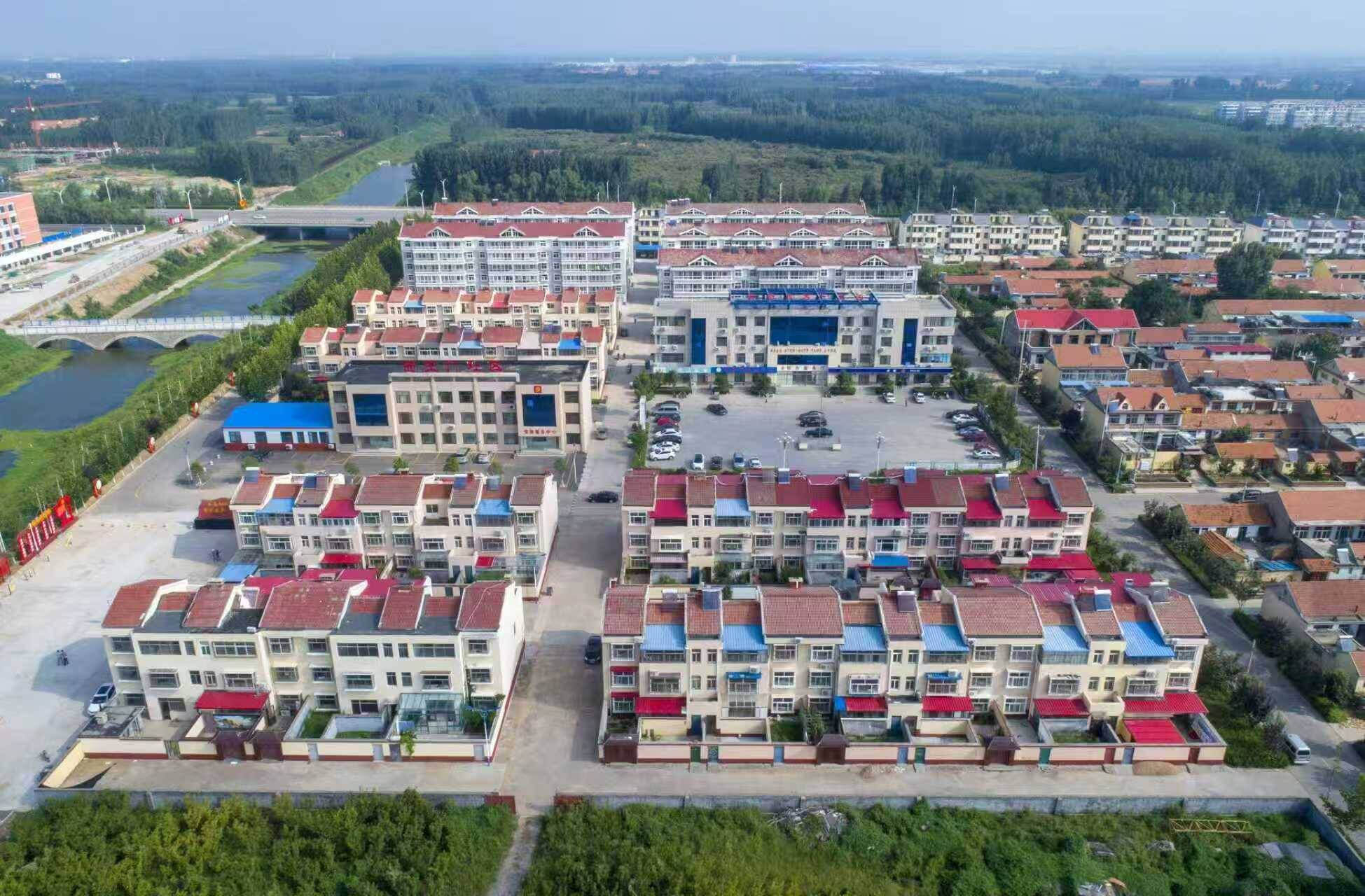 潍坊诸城:党建引领强根基 产业兴社惠民生
