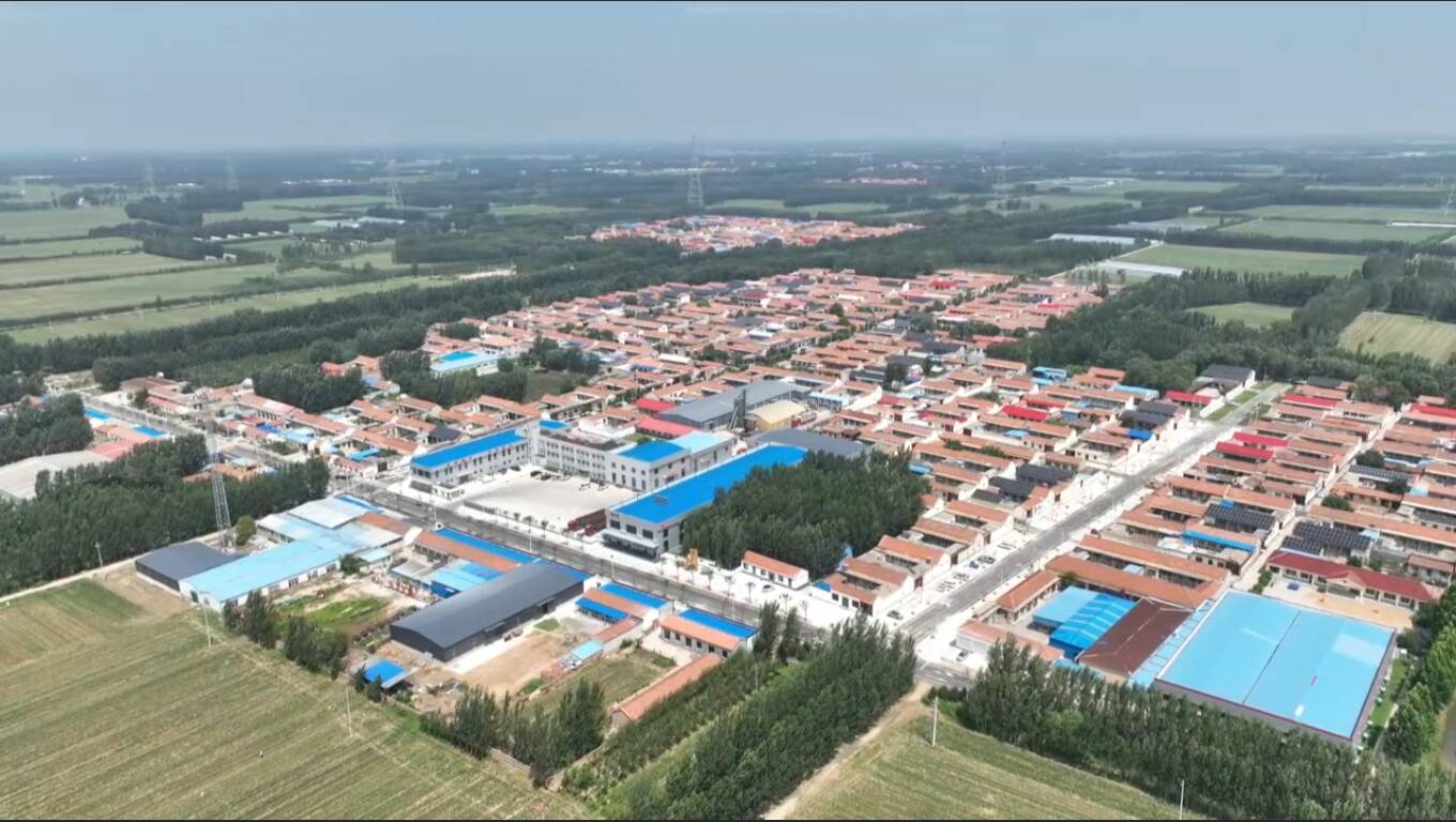 【城市更新·乡村振兴看济南】商河县：三颗种子长出共富链