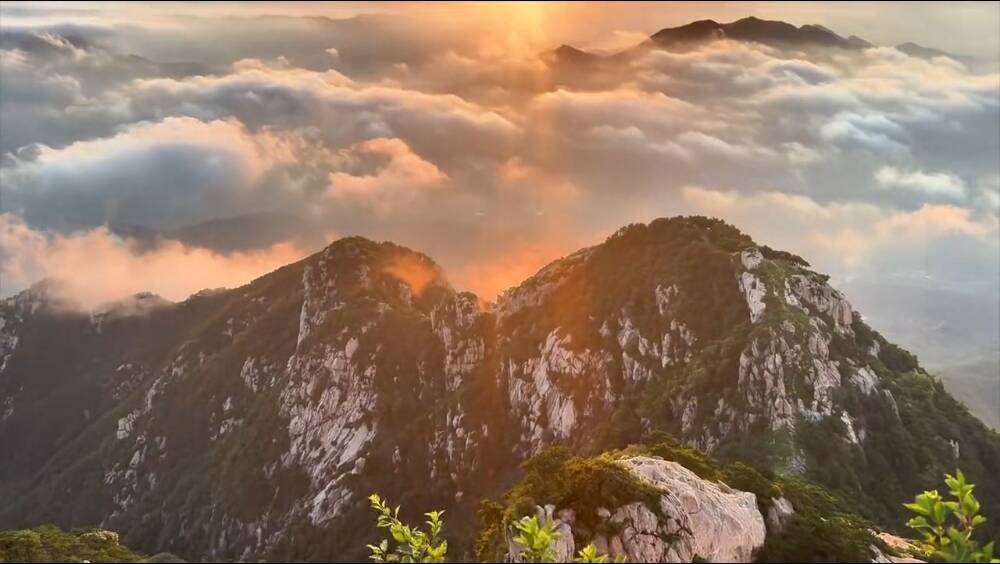 7月15日17:00起 泰山5条入园线路恢复开放