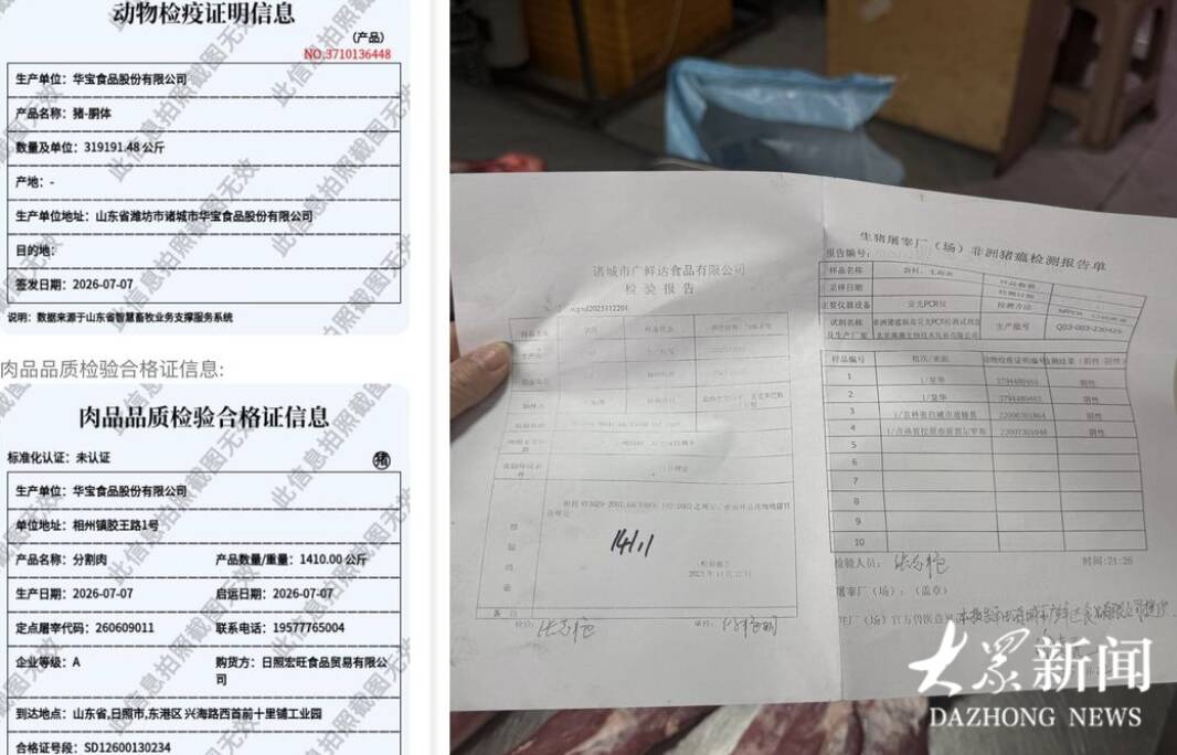 山东生猪追溯调查|肉摊前“亮码”如何倒逼全链条受力?(图3)