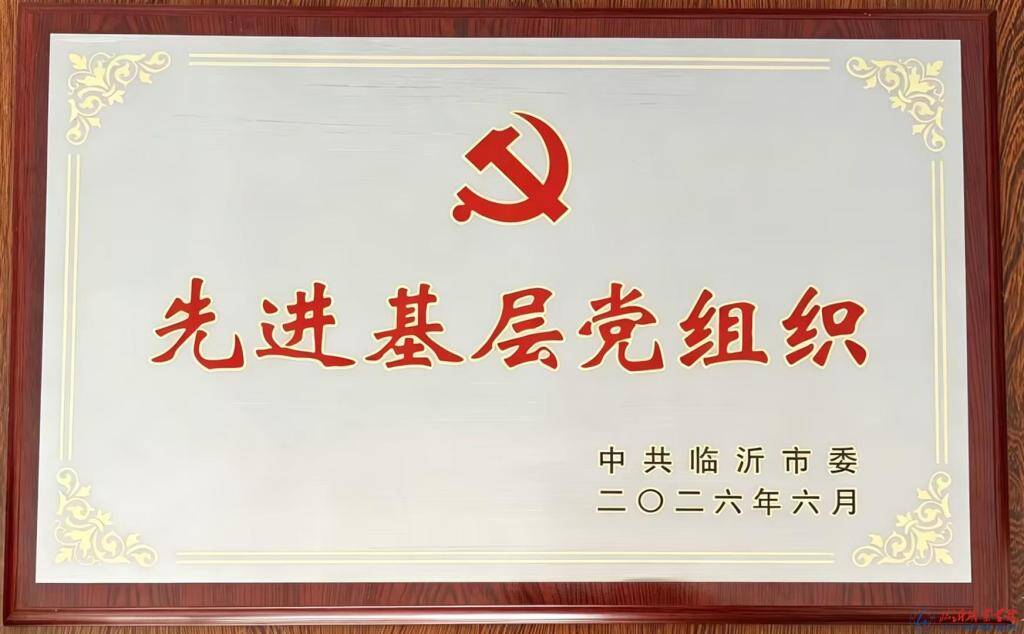 临沂职业学院舞声传韵党支部获评临沂市先进基层党组织