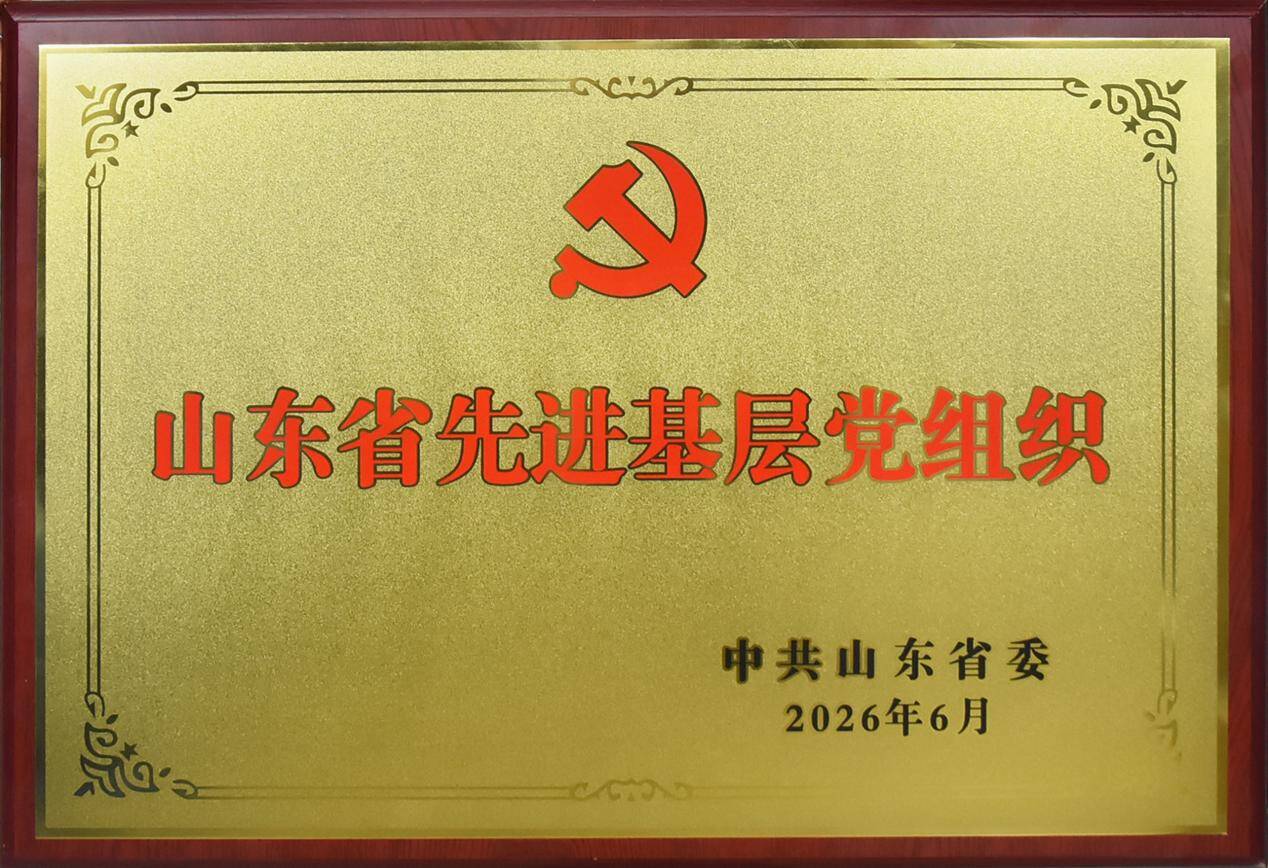 齐鲁银行济南历城中心支行荣膺“山东省先进基层党组织”称号