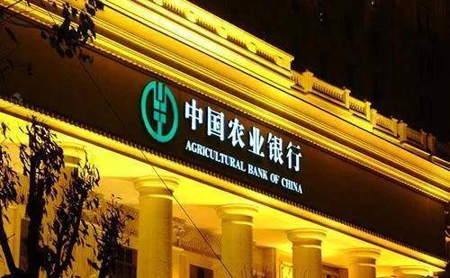 中国农业银行山东省分行：抢抓政策机遇 助力高水平对外开放