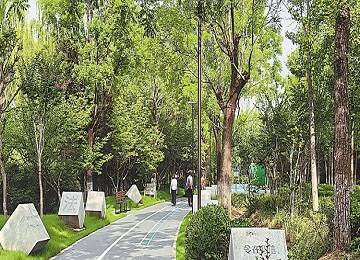 烟台：旧河焕新颜 城市添美景