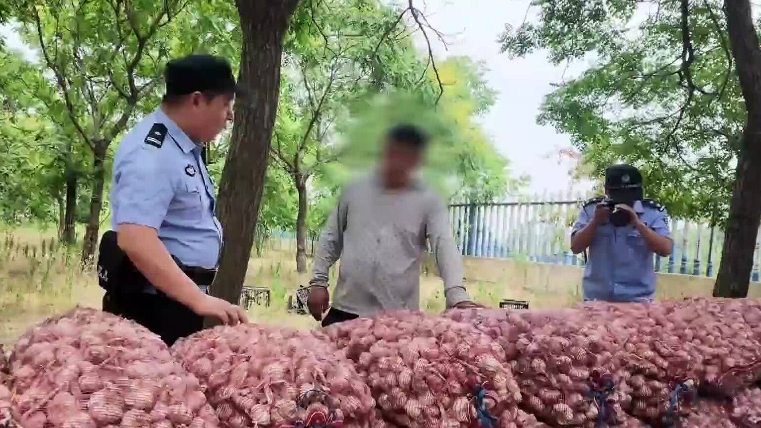 “帮除草”骗走门卫、“叫表妹”搬空蒜堆……东明这起5000斤大蒜失窃案，嫌疑人竟是自家亲戚