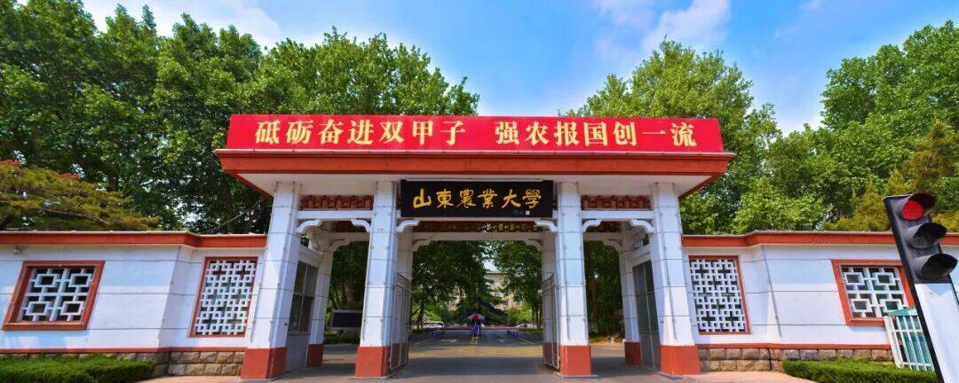 2026山东农业大学省内录取收官，生源质量大幅提升