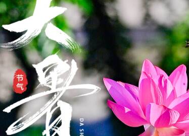 闪电海报|今日大暑,不如赏荷去?