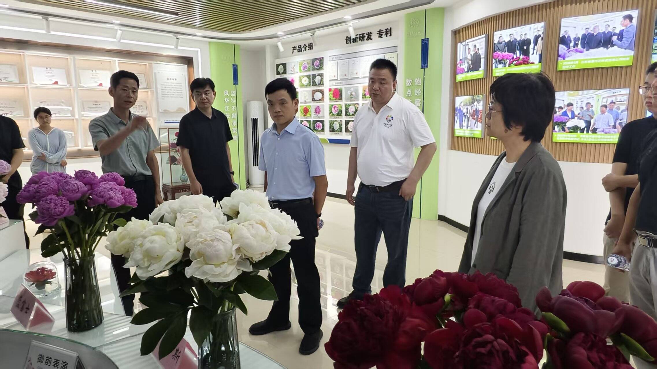 财政部关税司到菏泽开展芍药特色产业调研