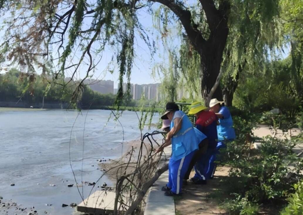 泰安泮河水域环境专项整治提升行动显成效