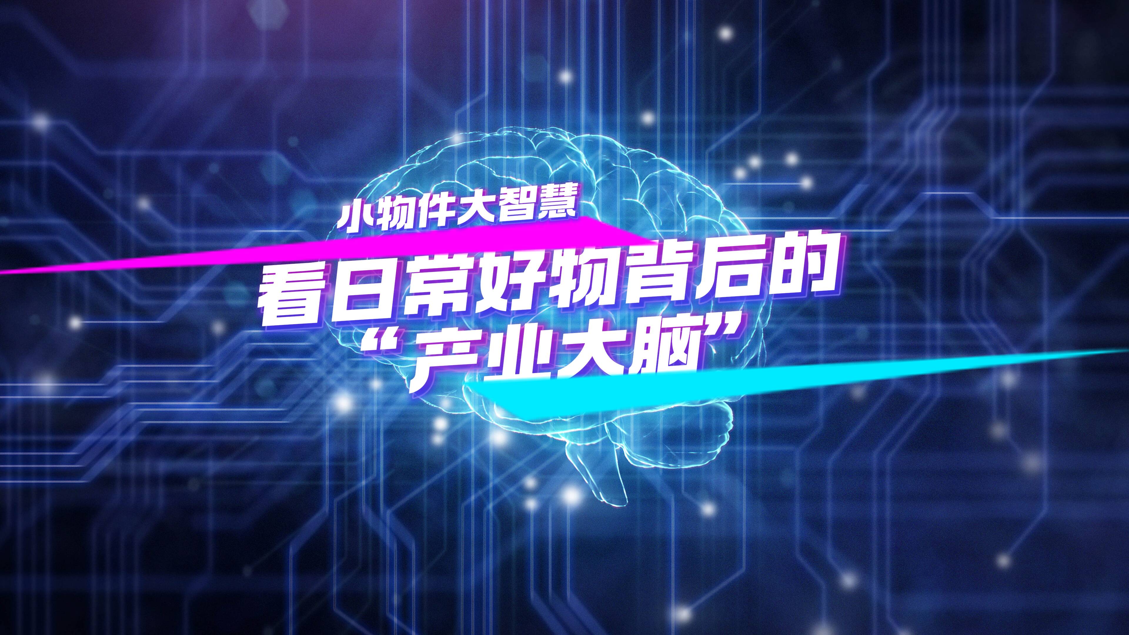开局之年看中国·解码“产业大脑”｜小物件大智慧！看日常好物背后的“产业大脑”