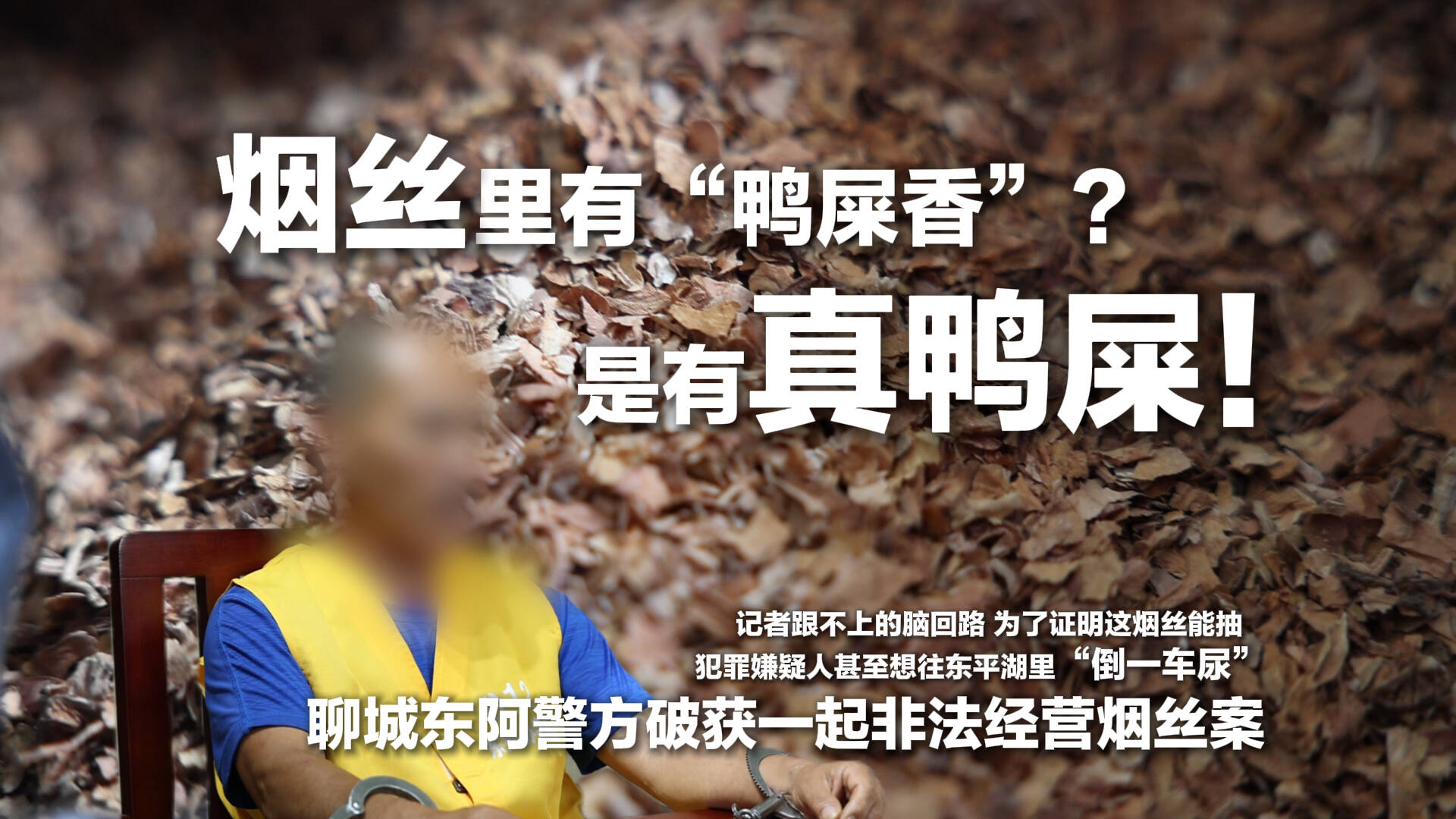 烟里还有“鸭屎香”？是真鸭屎！聊城警方破获一起非法经营烟丝案