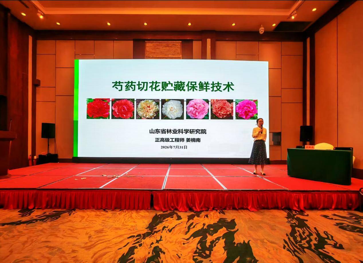 “切花芍药繁育及采后处理技术推广示范”培训会在菏泽召开