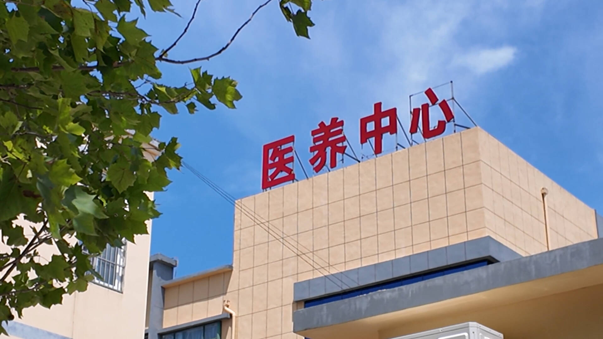 免费纳凉有去处 枣庄这片鱼鳞坝藏着夏日限定凉意