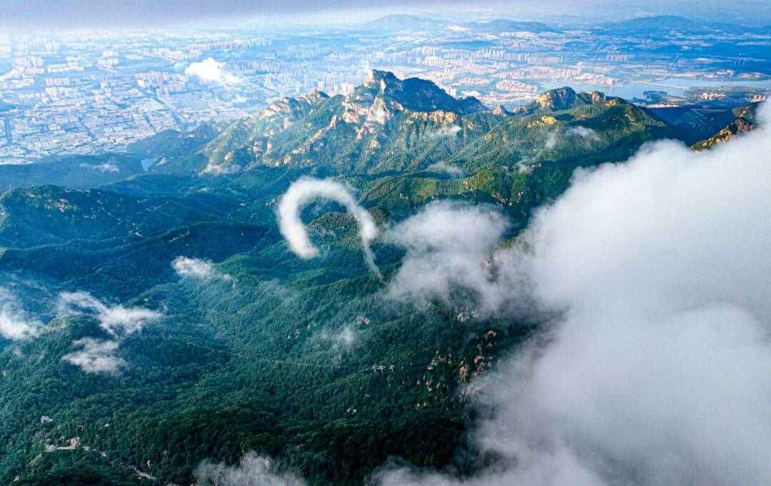 三伏登泰山 赴一场翠林云海清凉之约