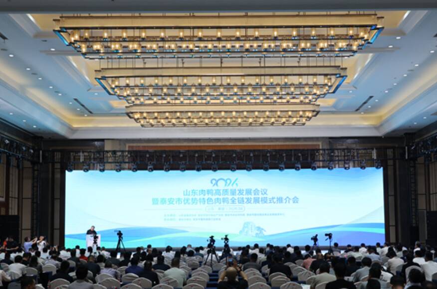 全链条提质增效 助推肉鸭产业升级﻿ 山东肉鸭高质量发展会议在泰安举行