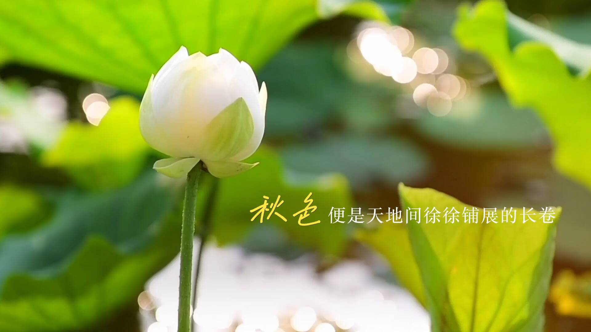 秋色初起万物渐丰