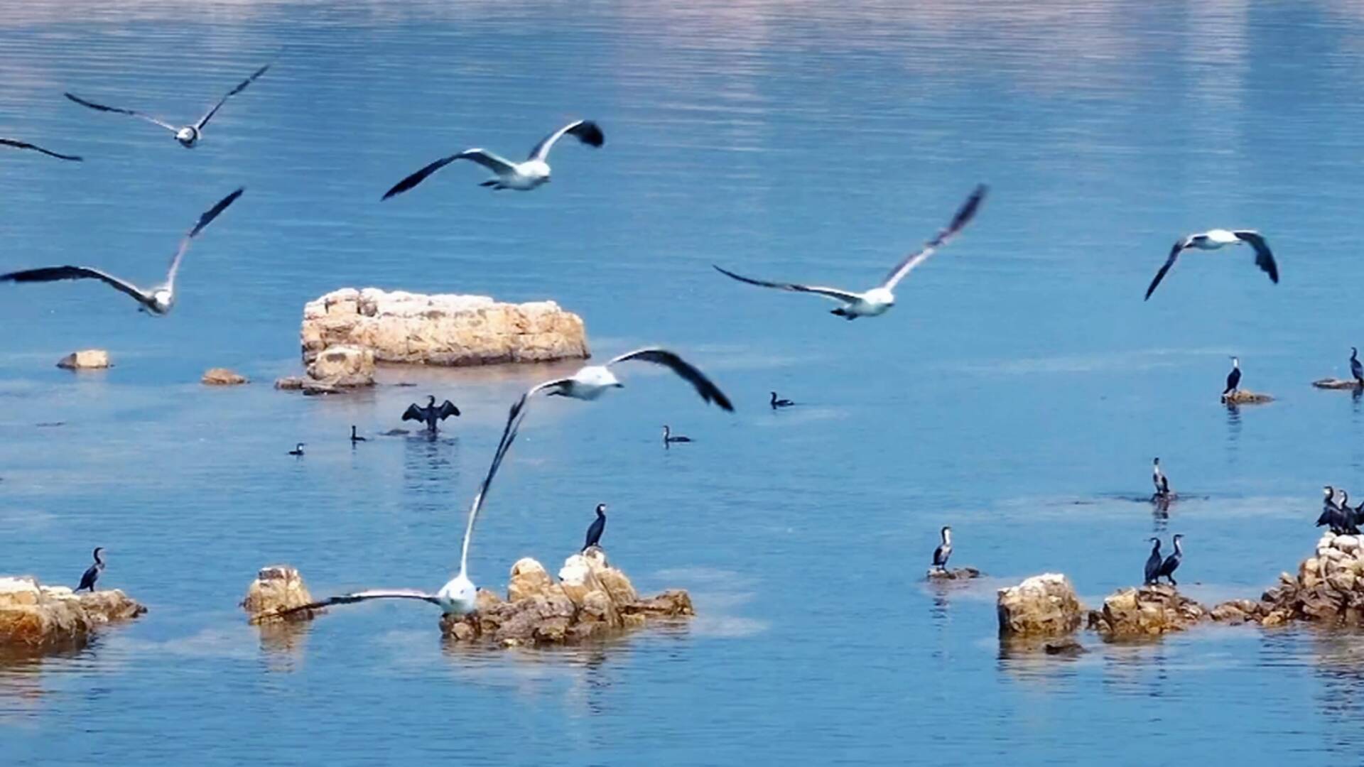 山河景深|一脚踏两海万鸟过境来，“界”是长岛