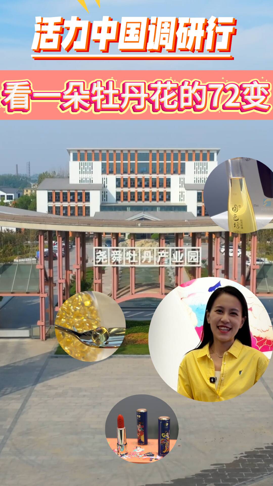 活力中国调研行｜看一朵牡丹花的72变