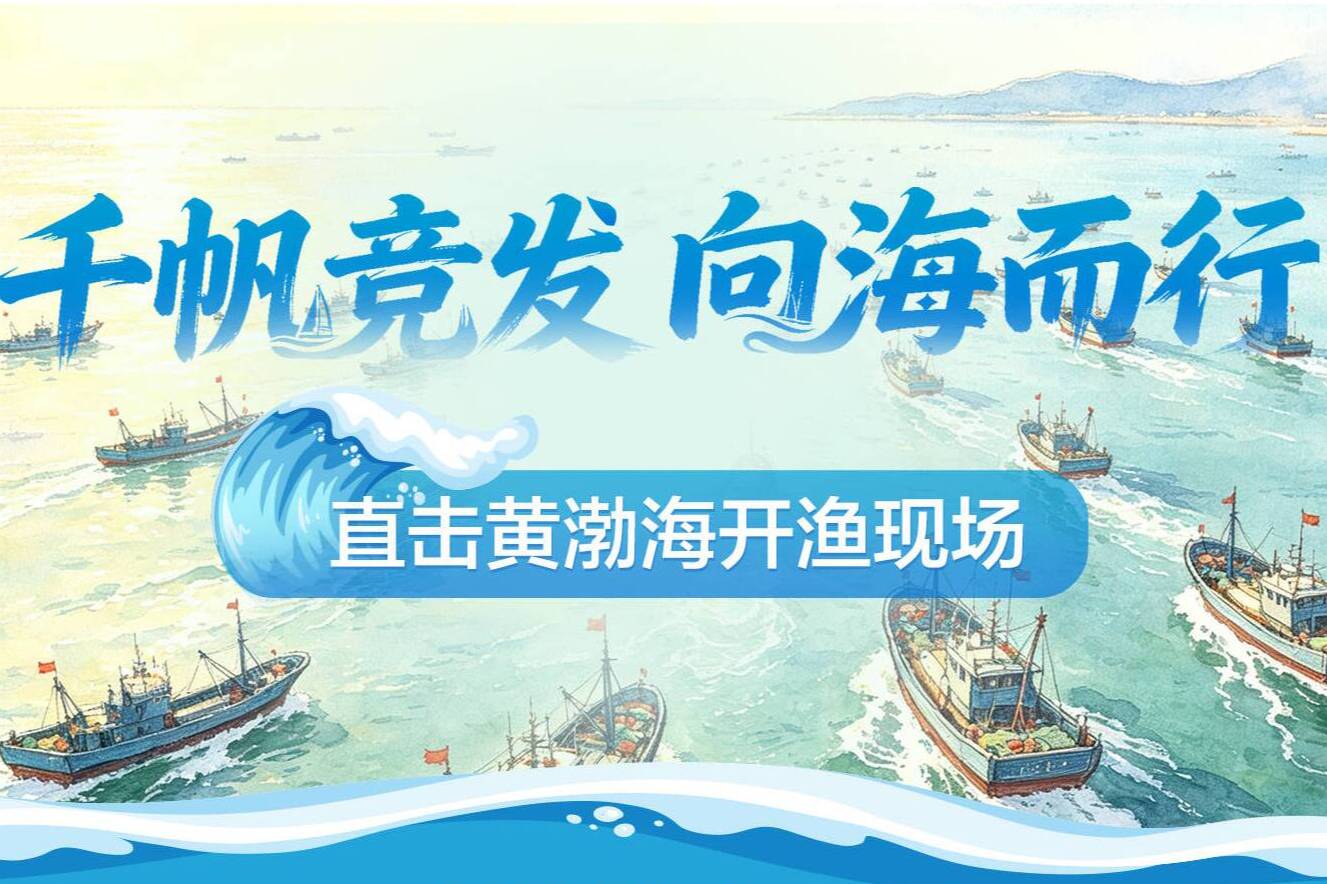 闪电海报丨千帆竞发 向海而行!直击黄渤海开渔现场