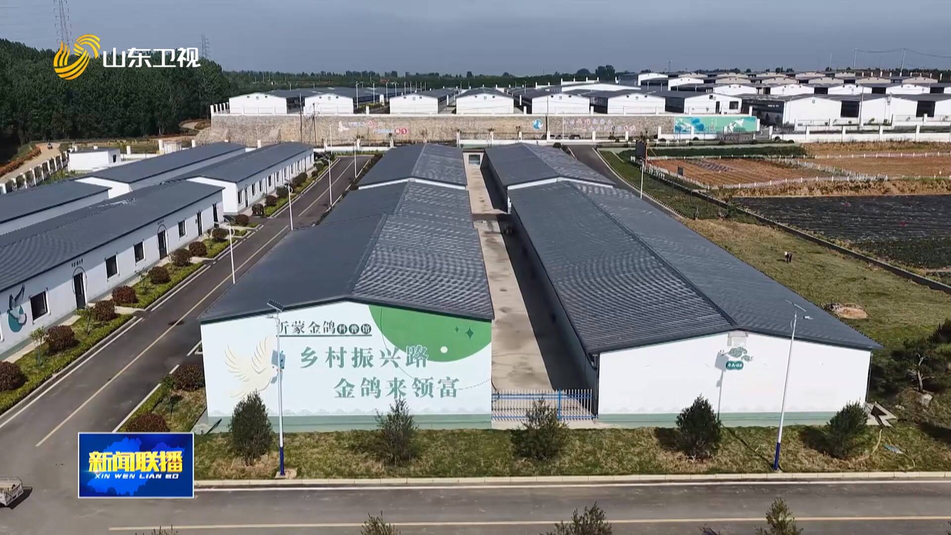 打造乡村振兴齐鲁样板|发挥“先行先试”制度优势 临沂金改试验区取得显著成效
