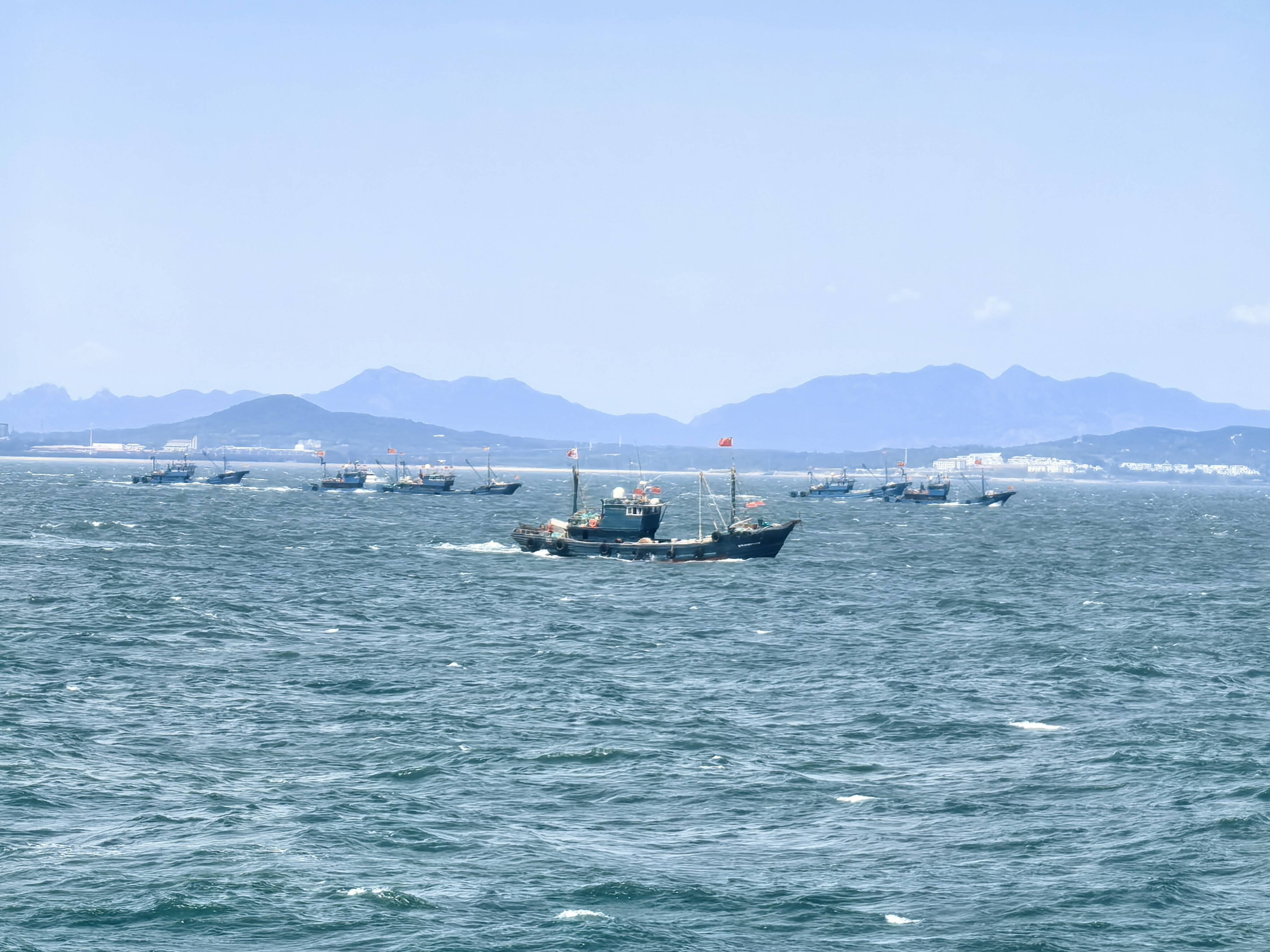 开海啦!董家口口岸全力护航渔获满仓