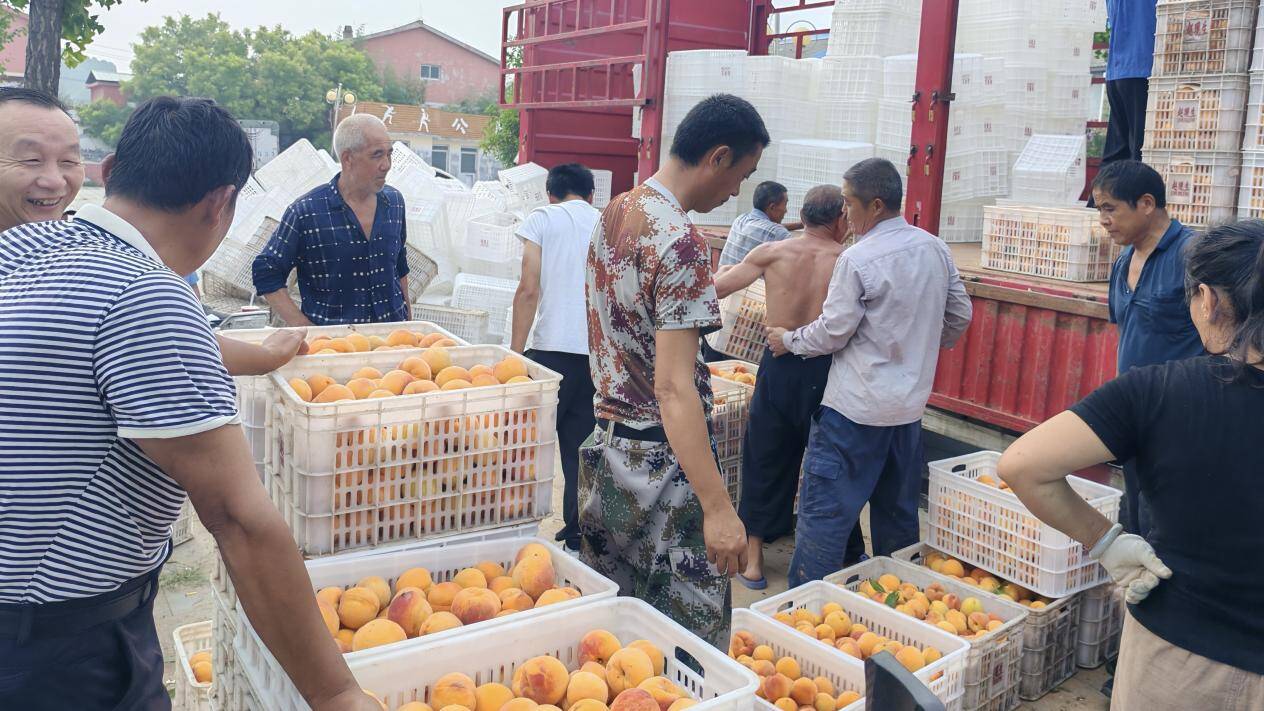 肥城：全面检修农机装备 扎实保障“三秋”生产