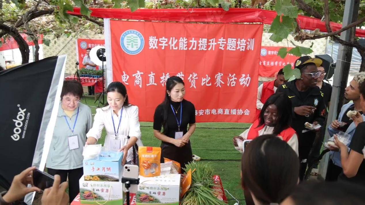 跨国打卡丰收节 十余国留学生沉浸式感受岱岳乡土魅力
