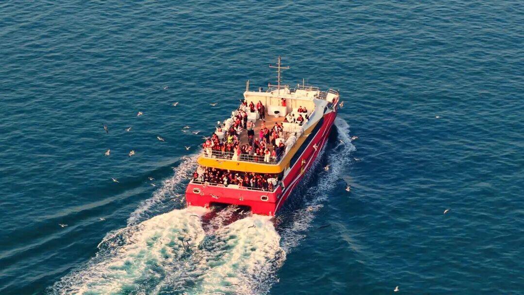 提前36天突破400万人次！青岛海上旅游跑出“青岛速度”