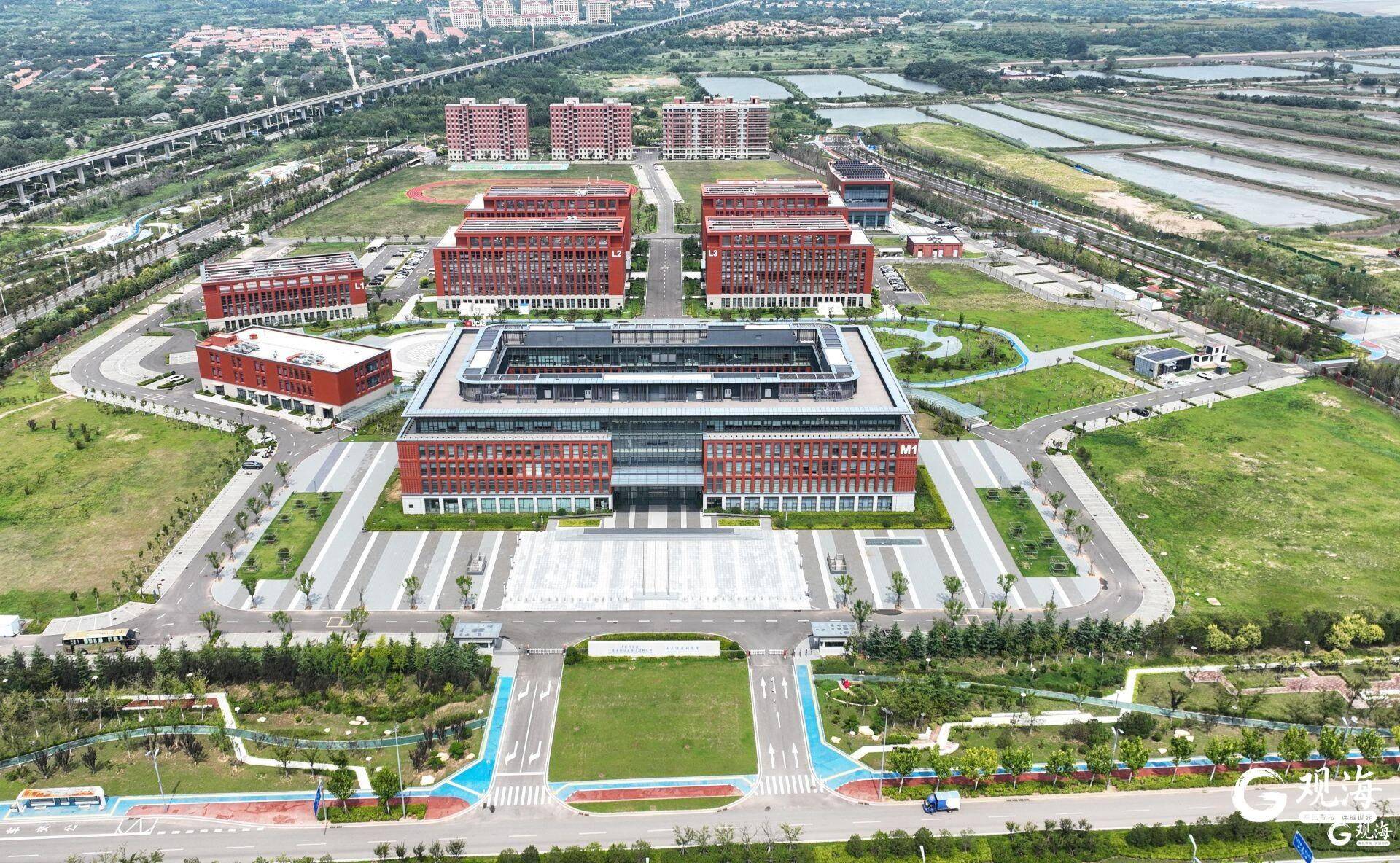 擦亮“国际名片”！青岛上榜“最具国际影响力入境游城市”