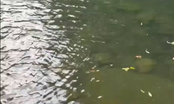 男子坠海绝望时民警回拨电话鼓励坚持