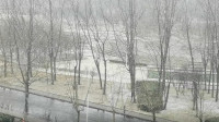 12秒|下雪了！滨州迎来了2020首场雪  今天最高气温3度