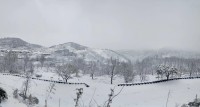 期盼太久，“济南的雪”冲上热搜！极致雪景这里都全了，慢慢欣赏吧
