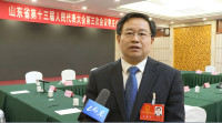 省人大代表刘文强：发展壮大簇群经济，实施好“三百”工程