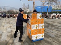“忠橙”售卖现场火爆 济南好心市民一次购买300箱