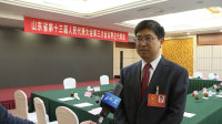 省人大代表刘强：丰富化工产业链 争做链主地位的引领性企业