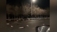 13秒丨滨州博兴街头两车相撞 鱼洒满地