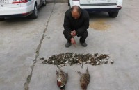 麻雀121只、山鸡2只、斑鸠1只...临沂有人非法捕售野生动物被刑拘