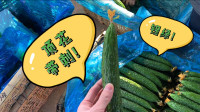 战“疫”Vlog丨节后蔬菜价格趋于平稳 欣亮带你买物美价廉的黄瓜