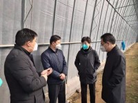 枣庄市副市长霍媛媛到薛城区督导检查疫情防控和农产品生产保供工作