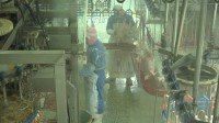 众志成城 抗击疫情丨潍坊安丘食品厂分阶段复工 日屠宰肉鸡四万余只