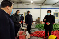 潍坊市委副书记、市长田庆盈到寿光检查农产品供应工作