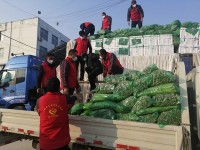 给力！临工集团150万吨蔬菜支援武汉医护人员和患者