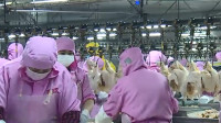 54秒丨滨州沾化复工企业加紧生产 全力保障市场供应